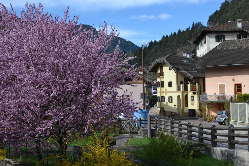 B&B La Tana Dell'Orso - Die Baerenhoehle 카스텔로디피엠므 외부 사진